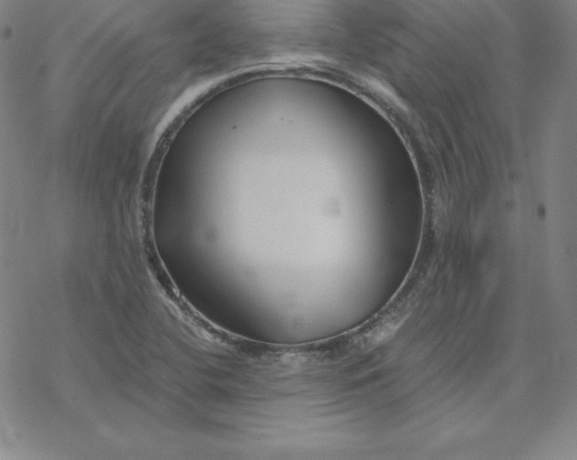 X0000069831412200606021325