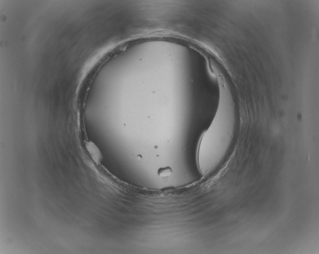 X0000069831414200606021325