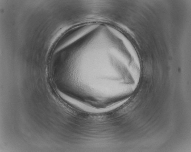 X0000069831415200606021325