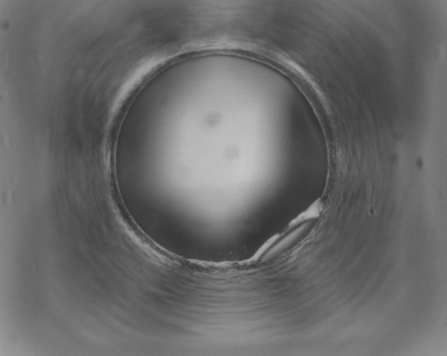 X0000069831416200606021325