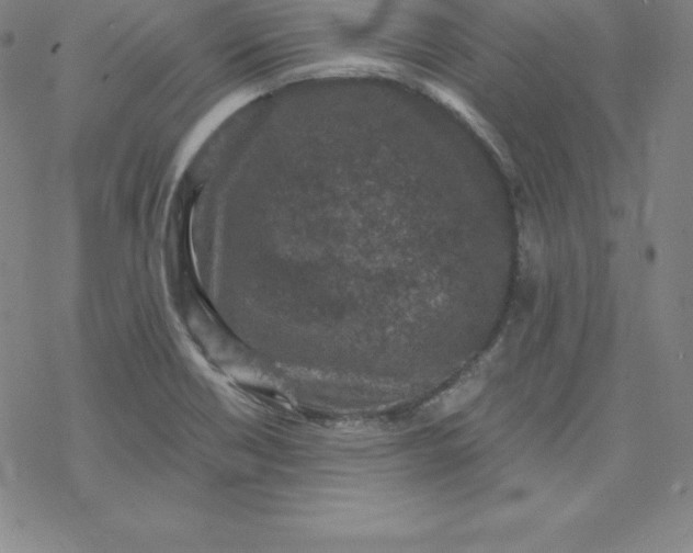 X0000069831418200606021325