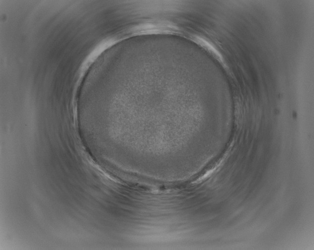 X0000069831419200606021325