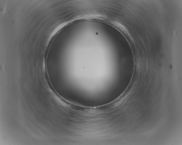 X0000069831420200606021325