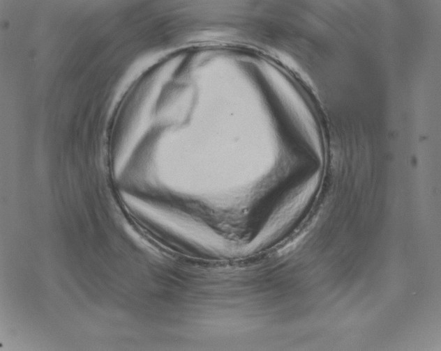 X0000069831421200606021325