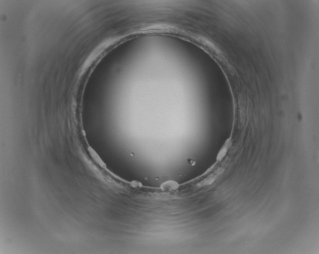 X0000069831422200606021325