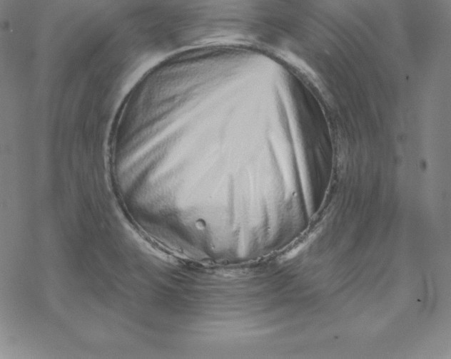 X0000069831423200606021325