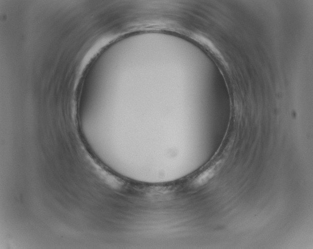 X0000069831424200606021325