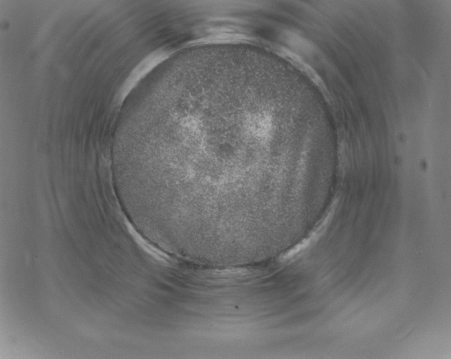 X0000069831425200606021325