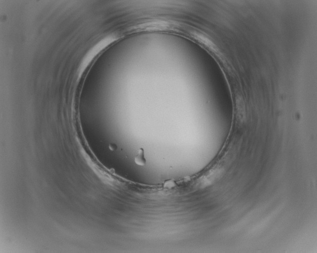 X0000069831426200606021325