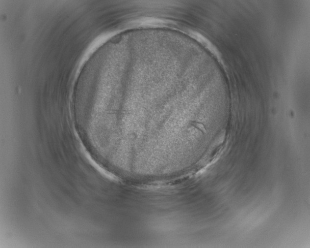 X0000069831429200606021325