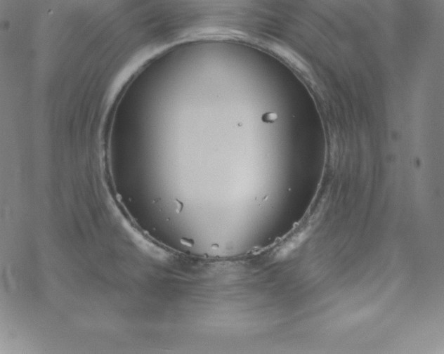 X0000069831430200606021325