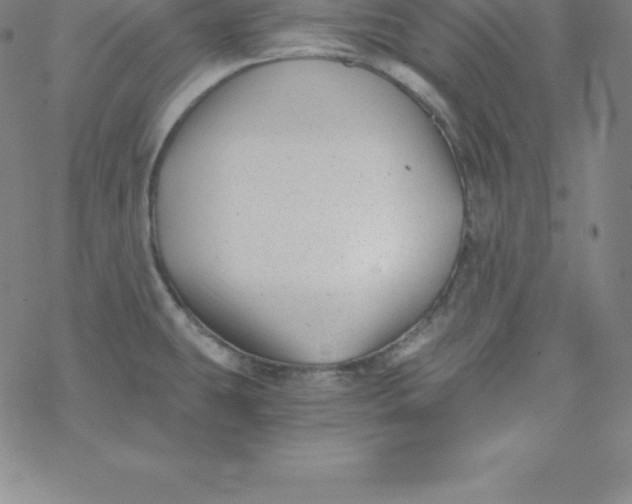 X0000069831431200606021325