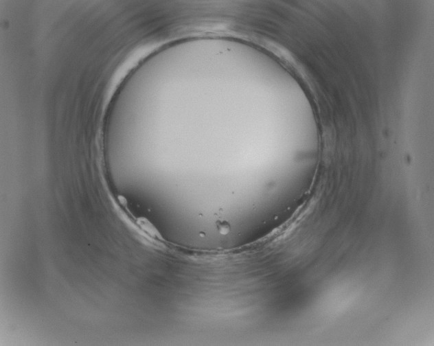 X0000069831432200606021325