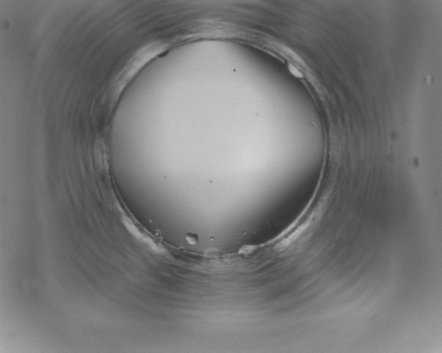 X0000069831433200606021325