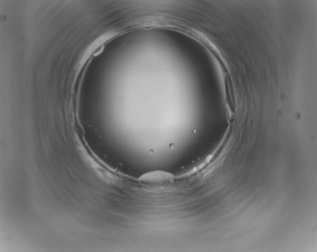 X0000069831434200606021325