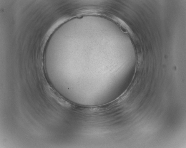 X0000069831435200606021325