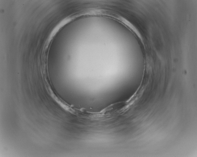 X0000069831437200606021325