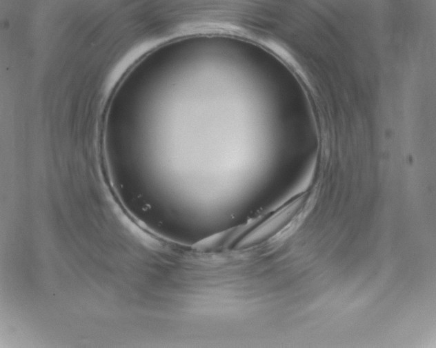 X0000069831438200606021325