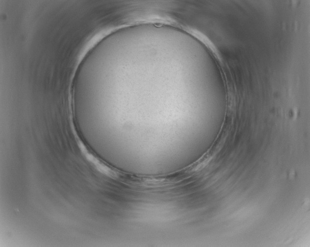 X0000069831439200606021325