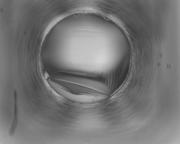 X0000069831440200606021325