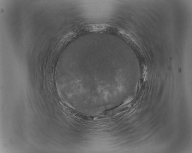 X0000069831441200606021325