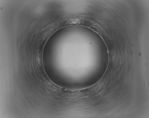 X0000069831442200606021325