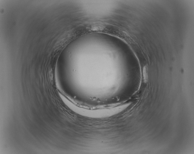 X0000069831443200606021325