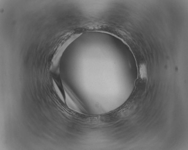 X0000069831444200606021325