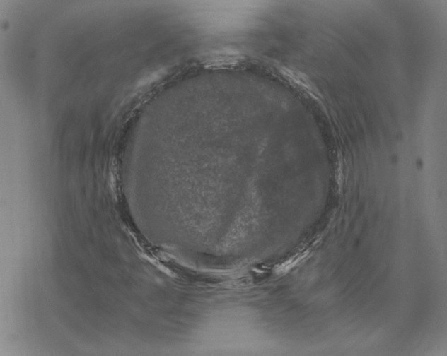 X0000069831445200606021325