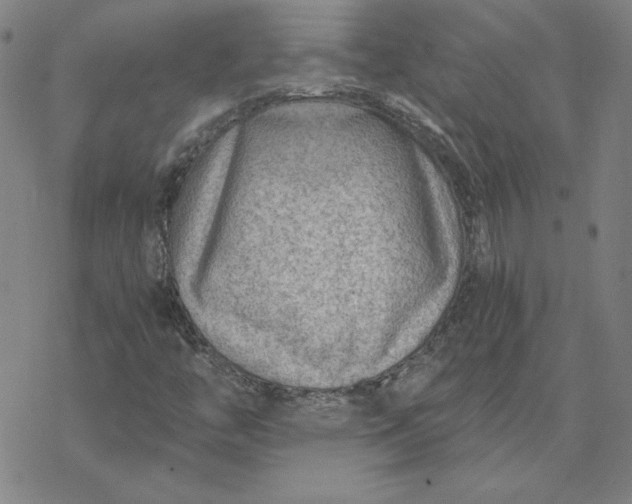 X0000069831446200606021324