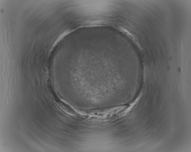 X0000069831449200606021324