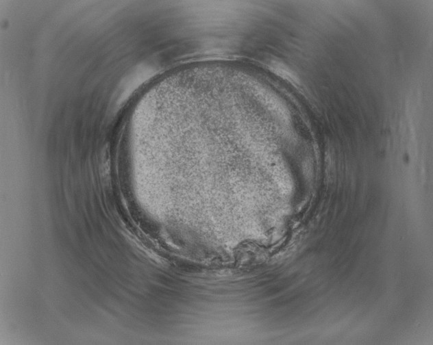 X0000069831450200606021324