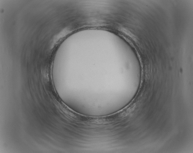 X0000069831451200606021324