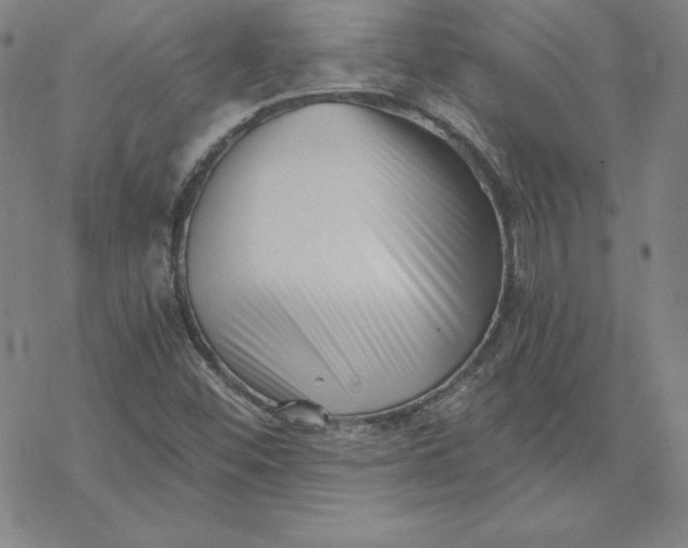 X0000069831452200606021324