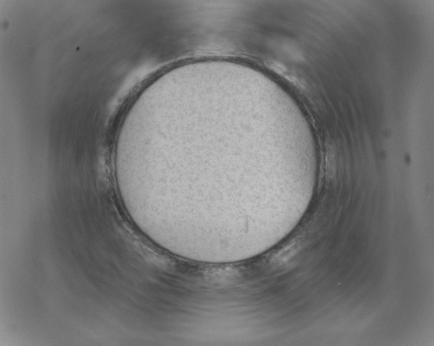 X0000069831454200606021324