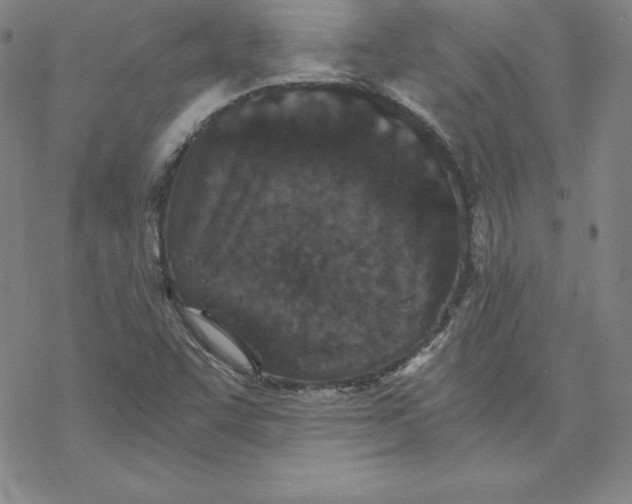 X0000069831455200606021324