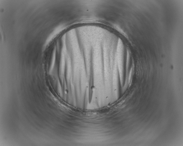 X0000069831456200606021324