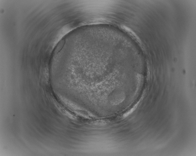 X0000069831457200606021324