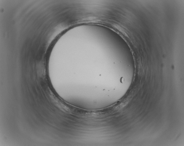 X0000069831458200606021324