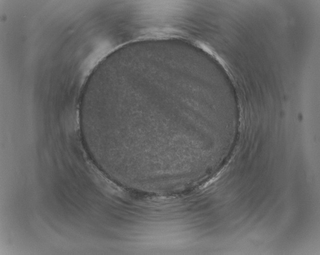 X0000069831459200606021324