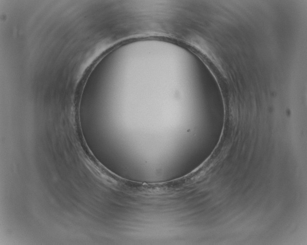 X0000069831460200606021324