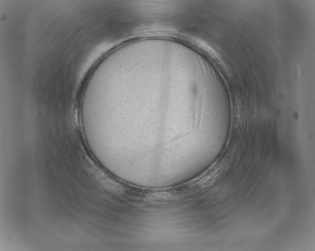 X0000069831462200606021324