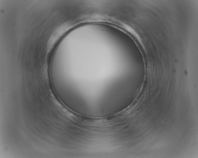 X0000069831464200606021324