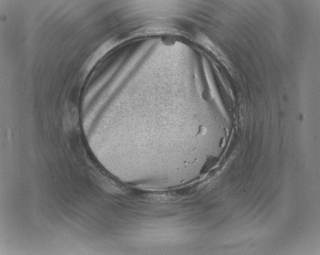 X0000069831465200606021324