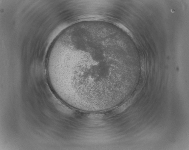 X0000069831466200606021324