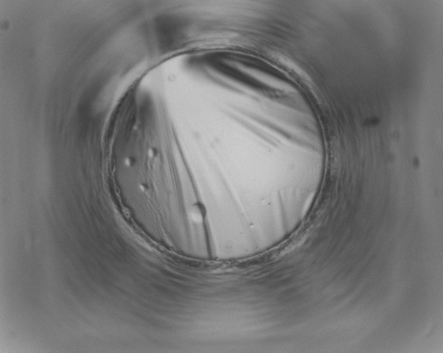 X0000069831467200606021324