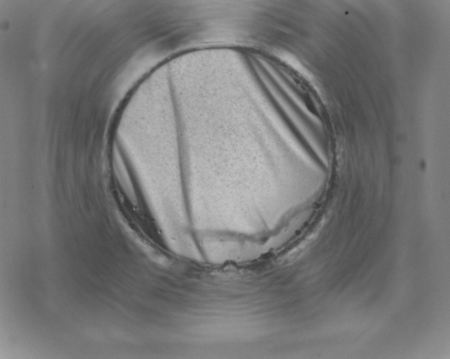 X0000069831469200606021324