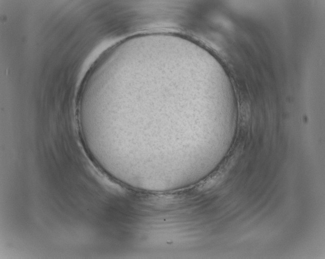 X0000069831470200606021324