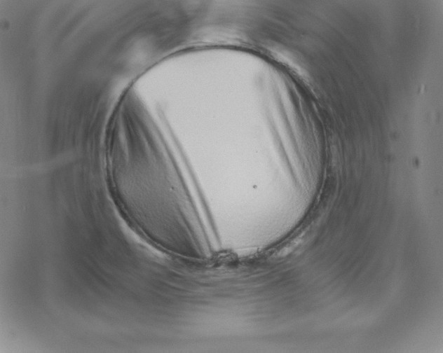 X0000069831471200606021324