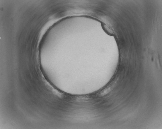 X0000069831472200606021324